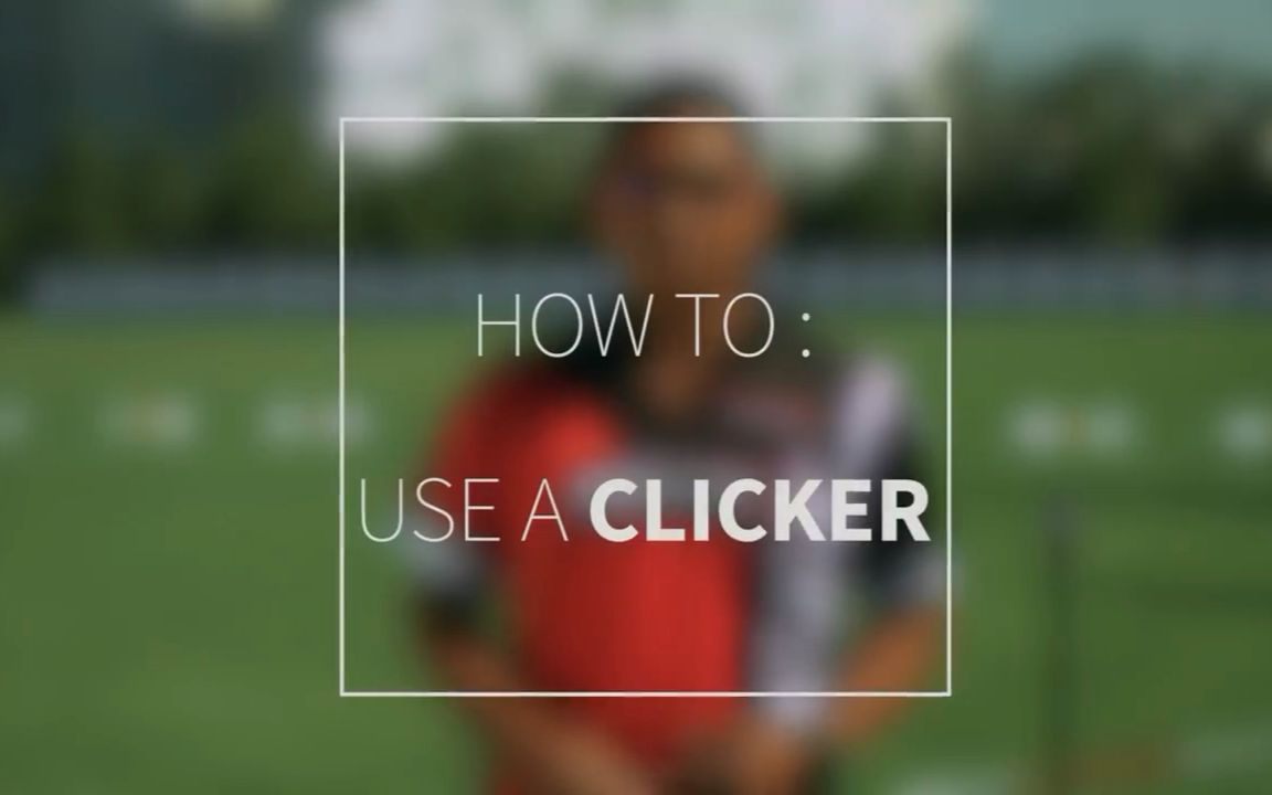 [图]HOW TO USE A CLICKER