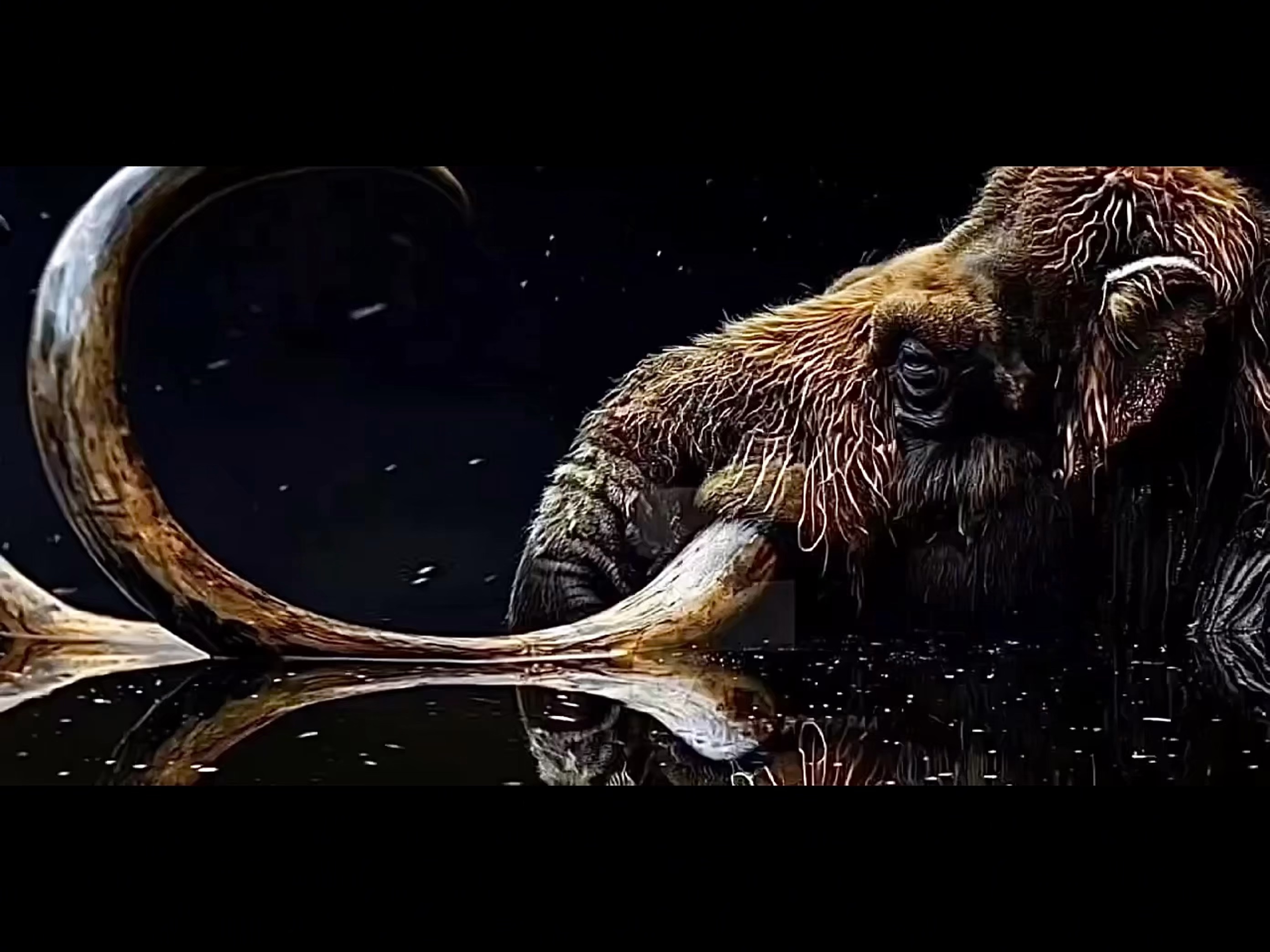 猛犸象嬉水动态复原