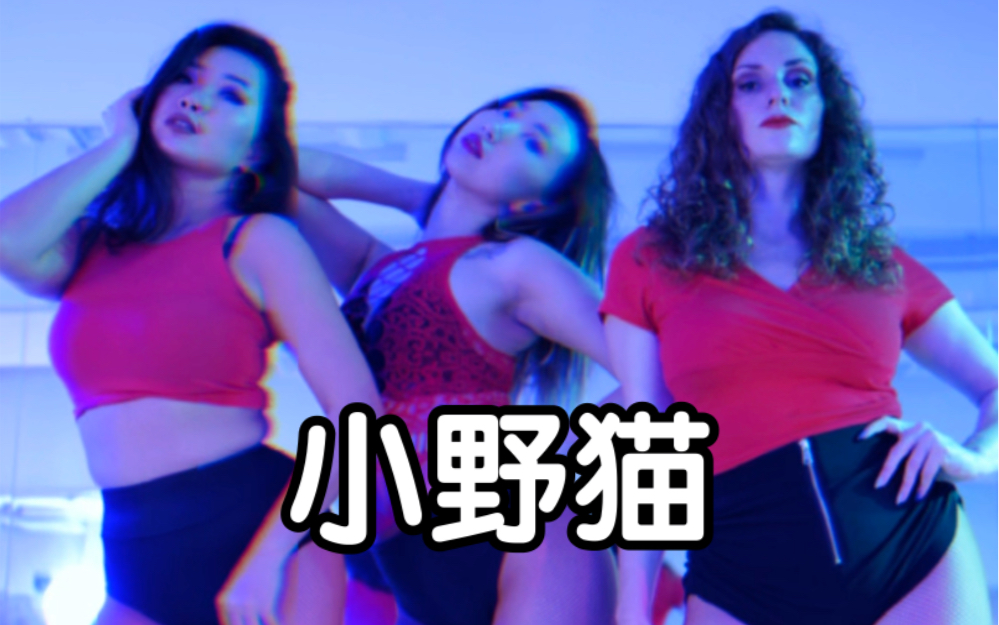 小野猫组合Bachata Fusion Ladystyling 准备出道,期待我们的作品吗?蹲个视频哦哔哩哔哩bilibili