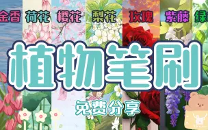 Descargar video: 【ps/procreate植物笔刷】免费分享，花开草绿的浪漫季节怎么能少的了这些植物笔刷呢，郁金香，荷花，樱花，梨花，玫瑰，紫藤，绿植...你要的这里都有！