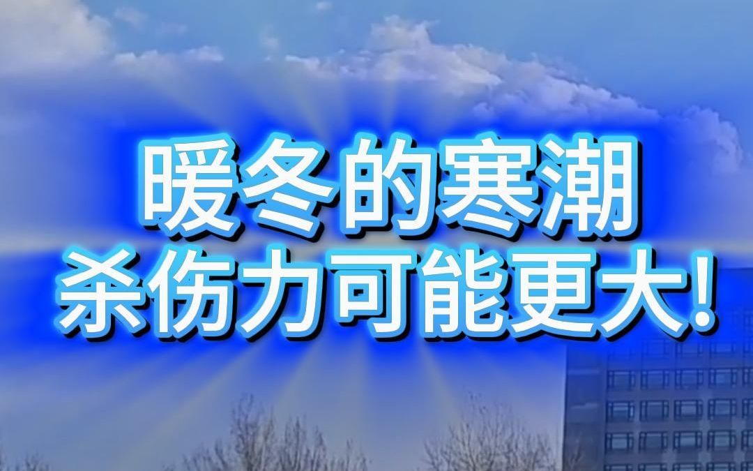 暖冬的寒潮,杀伤力可能更大!哔哩哔哩bilibili