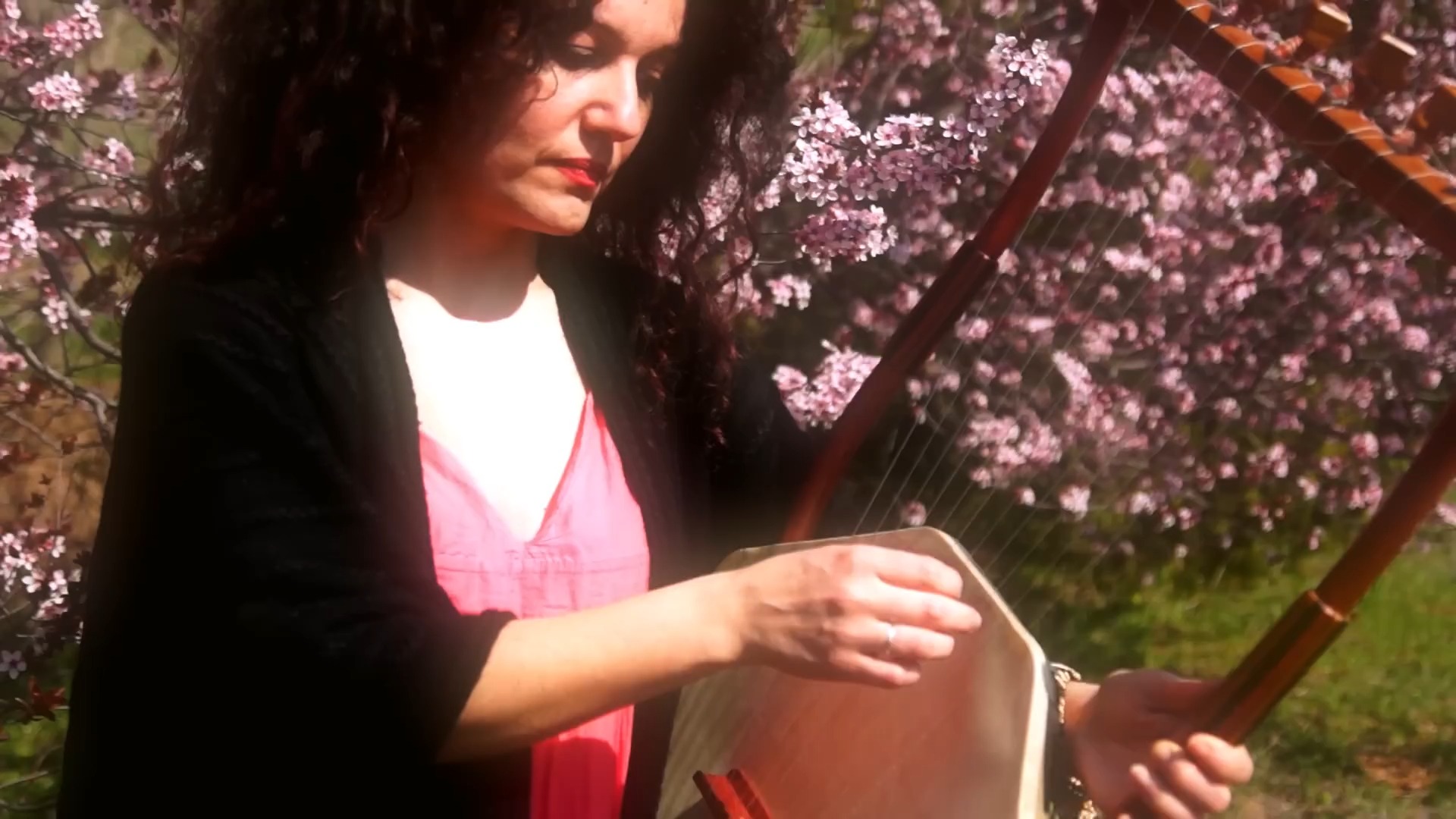 古希腊权力的游戏|里拉琴演奏