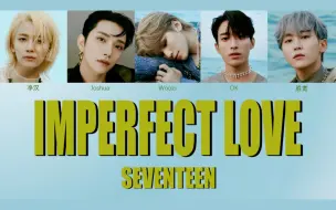 Descargar video: 【SEVENTEEN】Imperfect love成员歌词分配（中韩双字幕）