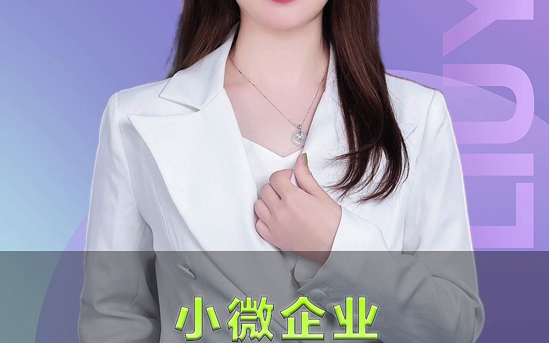 小微企业都有哪些好处?哔哩哔哩bilibili