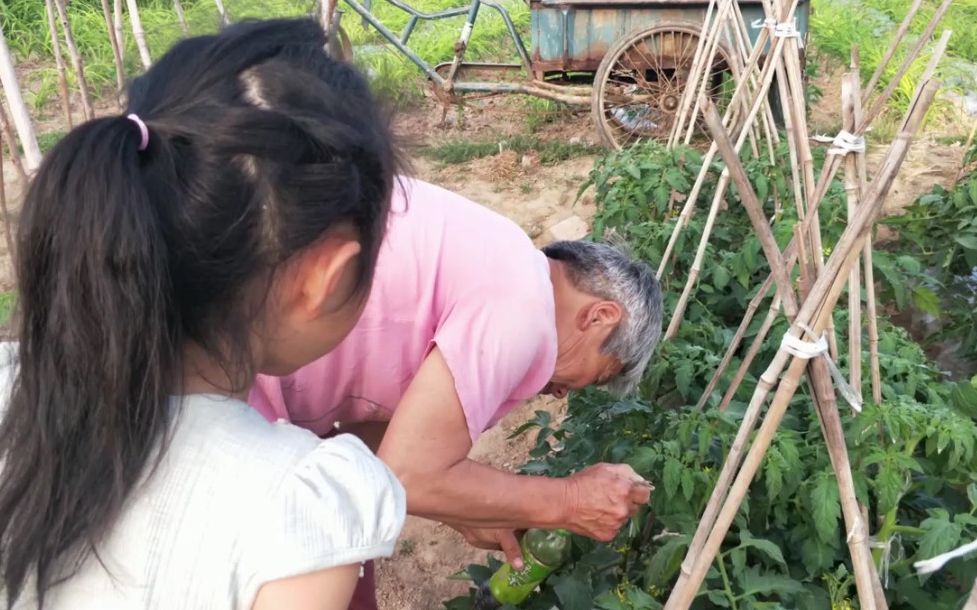 [图]小朋友去小菜园帮姥姥干活，非要帮忙授粉，结果闹出了笑话