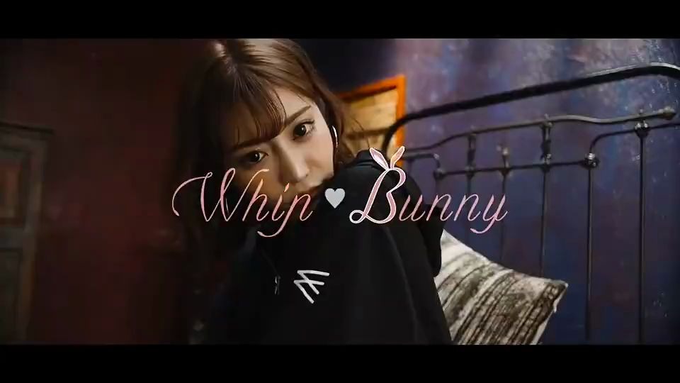 【明日花】whip bunny 第二弹哔哩哔哩bilibili