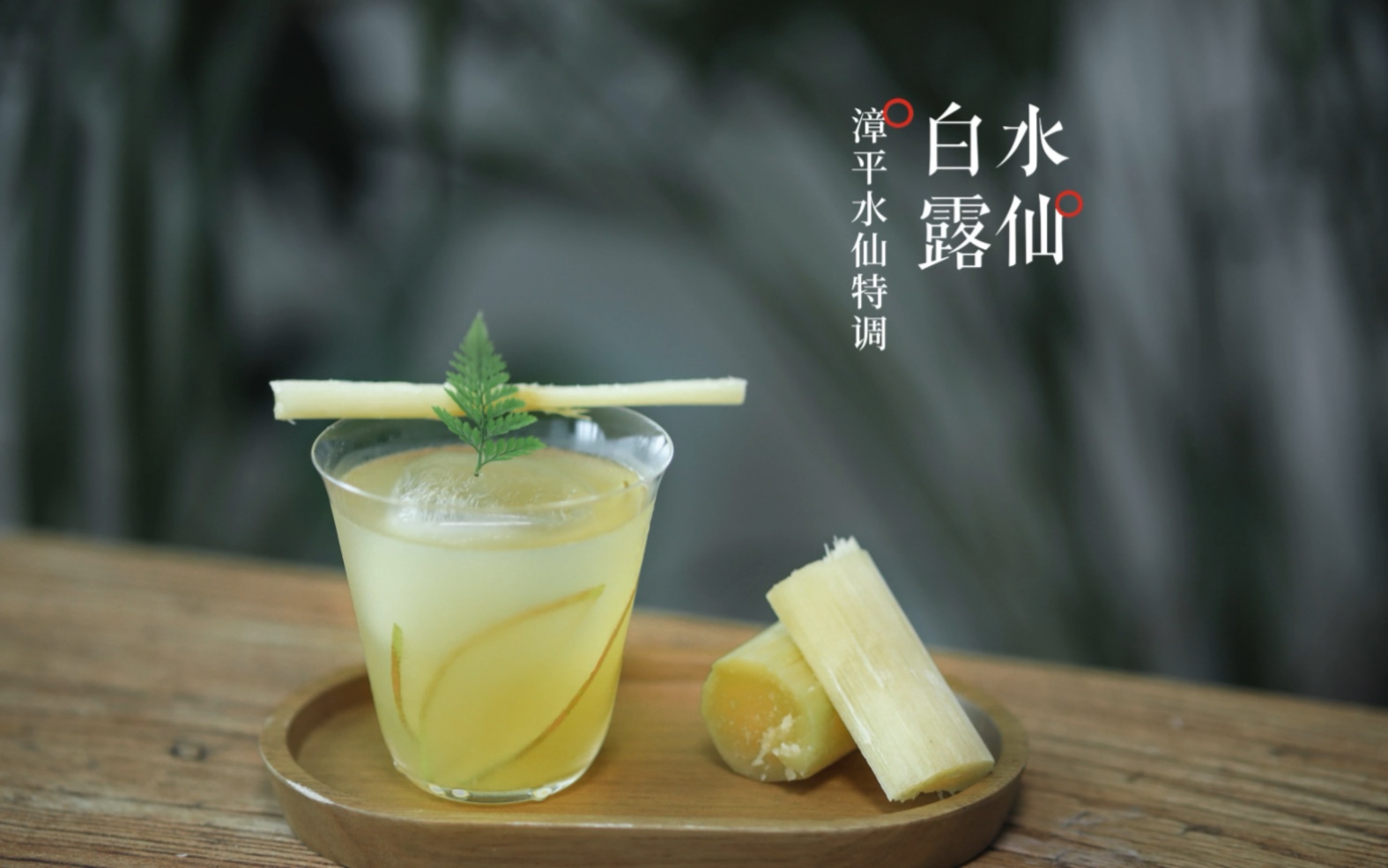 [图]白露水仙｜茶香佳色，饮一杯“秋香”清秋不寂寥～