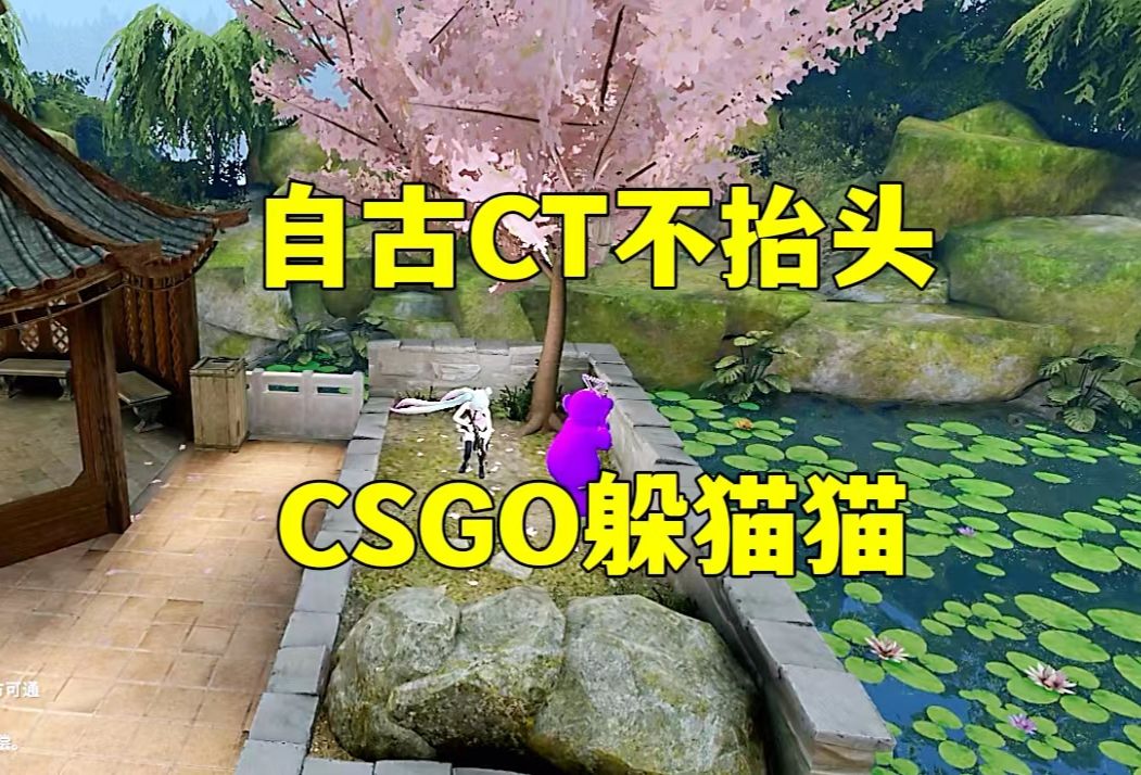 csgo躲猫猫,自古ct不抬头