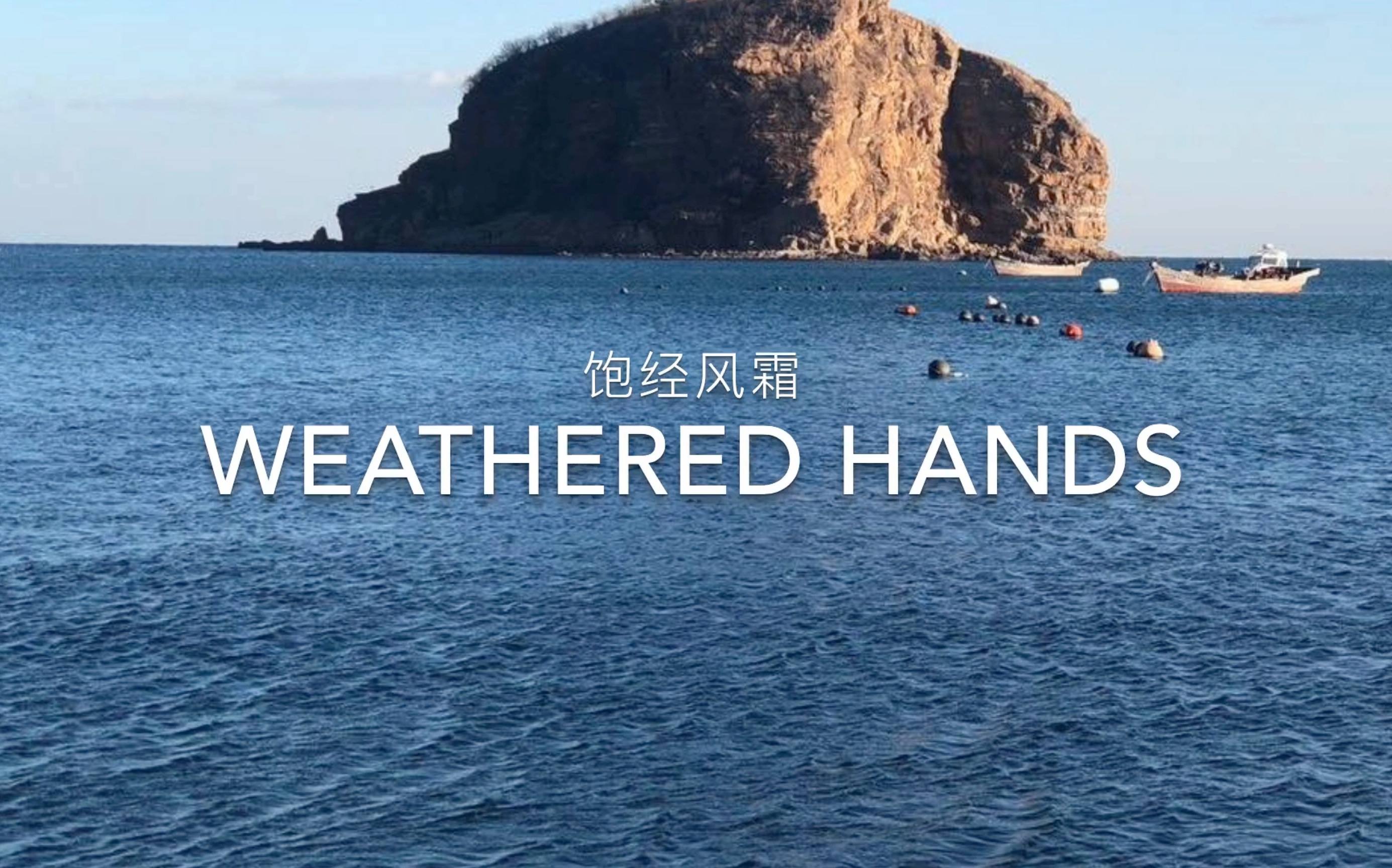 weathered hands图片