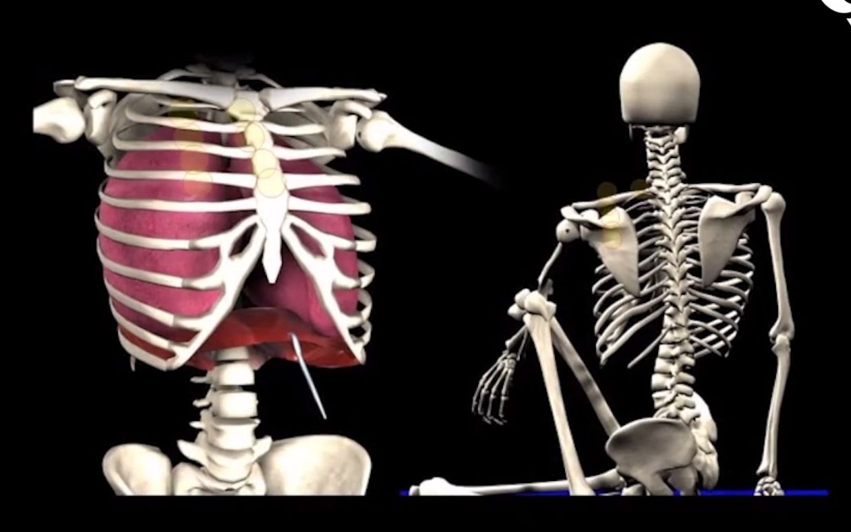 脊柱旋转对呼吸功能的影响