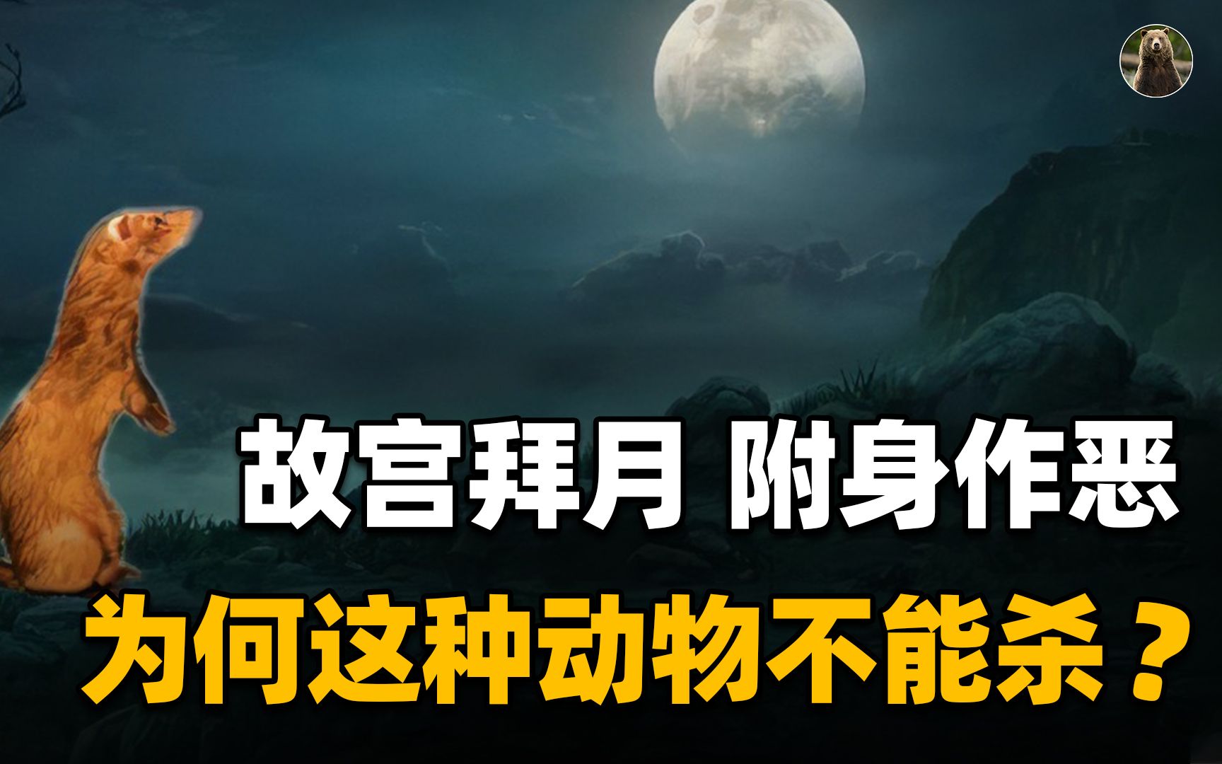 为什么老一辈都说这种动物不能杀?科学研究发现,原来真的不能杀哔哩哔哩bilibili