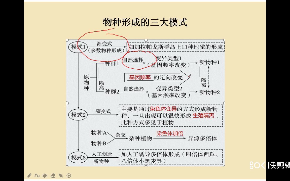 [图]生物的进化核心点串讲