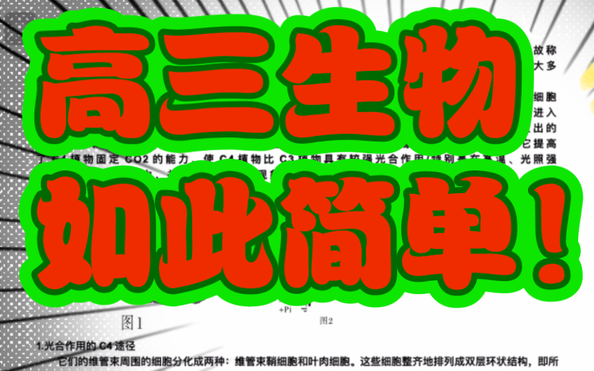 高三生物一轮复习——光合作用的c4途径,什么是维管束鞘细胞?怎么形成叶肉细胞包围维管束鞘细胞的“花环结构”哔哩哔哩bilibili