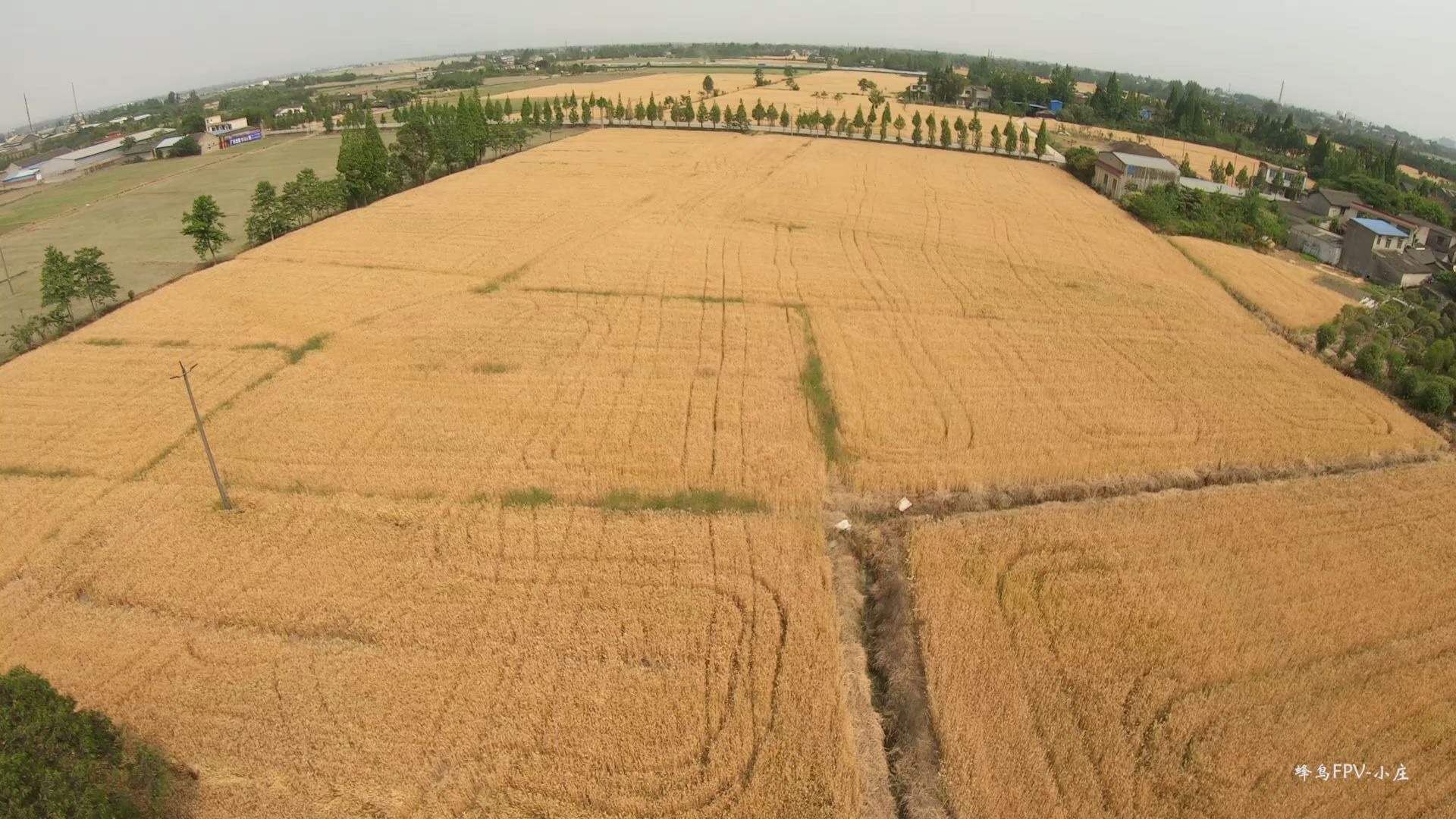 [图]【穿越机FPV】麦田飞行/太热暴晒飞2电就撤退了