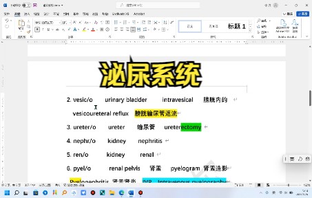 医学英语之泌尿系统哔哩哔哩bilibili