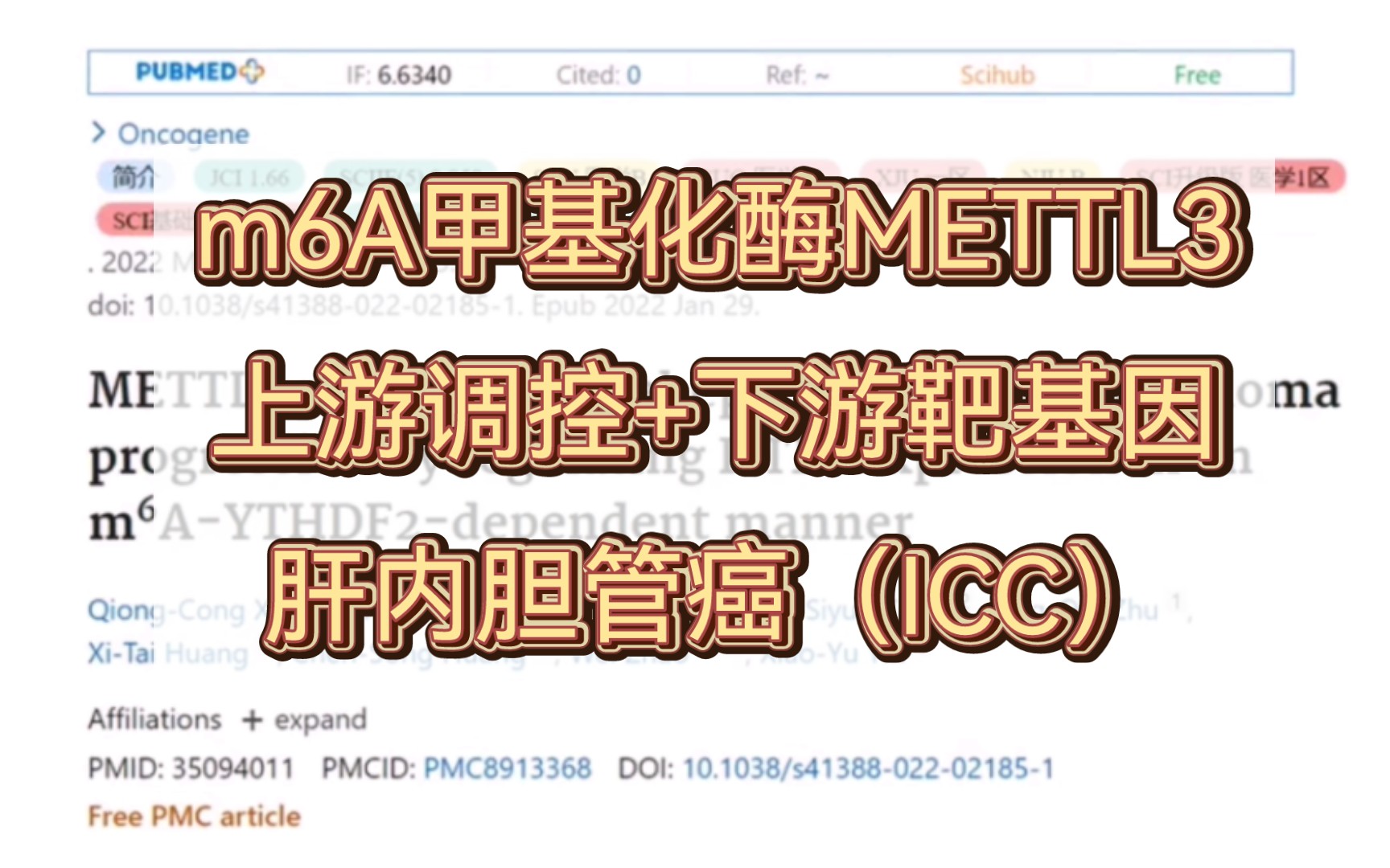 【文献阅读】| article分享| m6A甲基化酶METTL3,转录调控因子H3K4me3,下游靶基因IFIT2共同调节肝内胆管癌(ICC)的进展哔哩哔哩bilibili