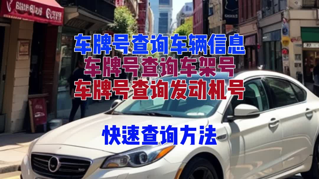 查车牌号车主查找图片