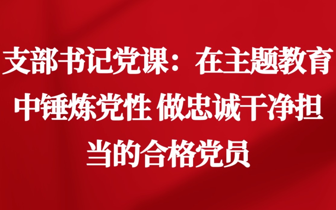 支部书记党课:在主题教育中锤炼党性 做忠诚干净担当的合格党员哔哩哔哩bilibili