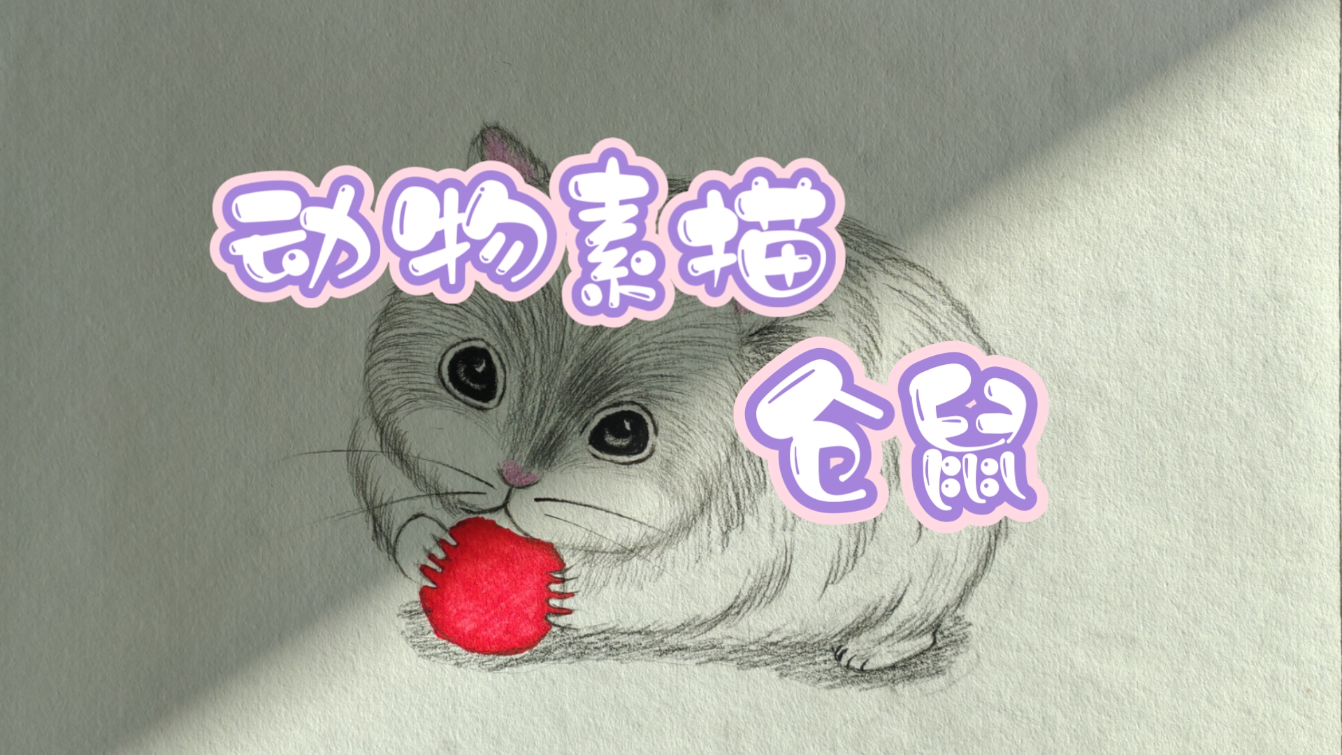动物素描教程之仓鼠