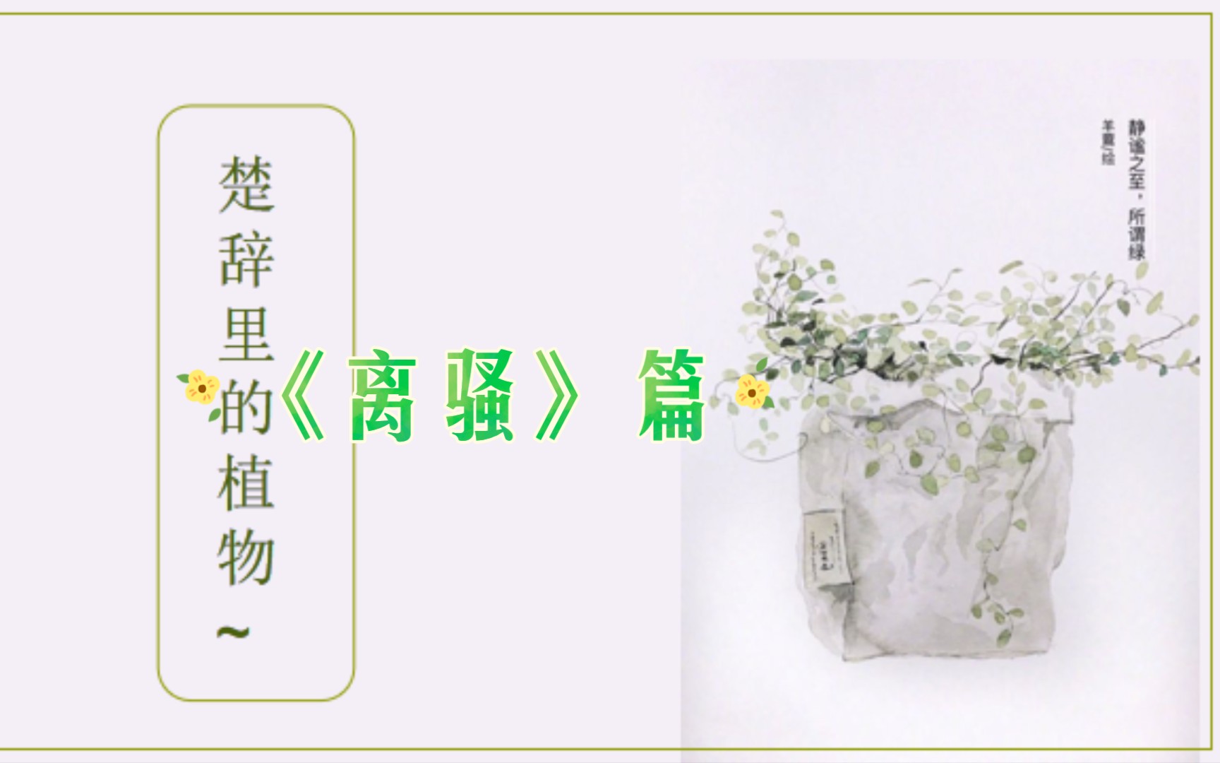 [图]楚辞里的植物—《离骚》篇