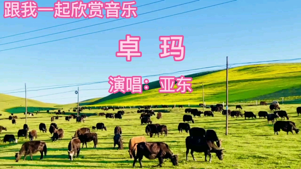 [图]亚东演唱的经典草原歌曲《卓玛》嗓声浑厚不愧为草原的主力歌手