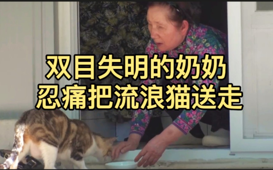 [图]双目失明的奶奶遇到了懂得报恩的流浪猫，它们最终会怎样