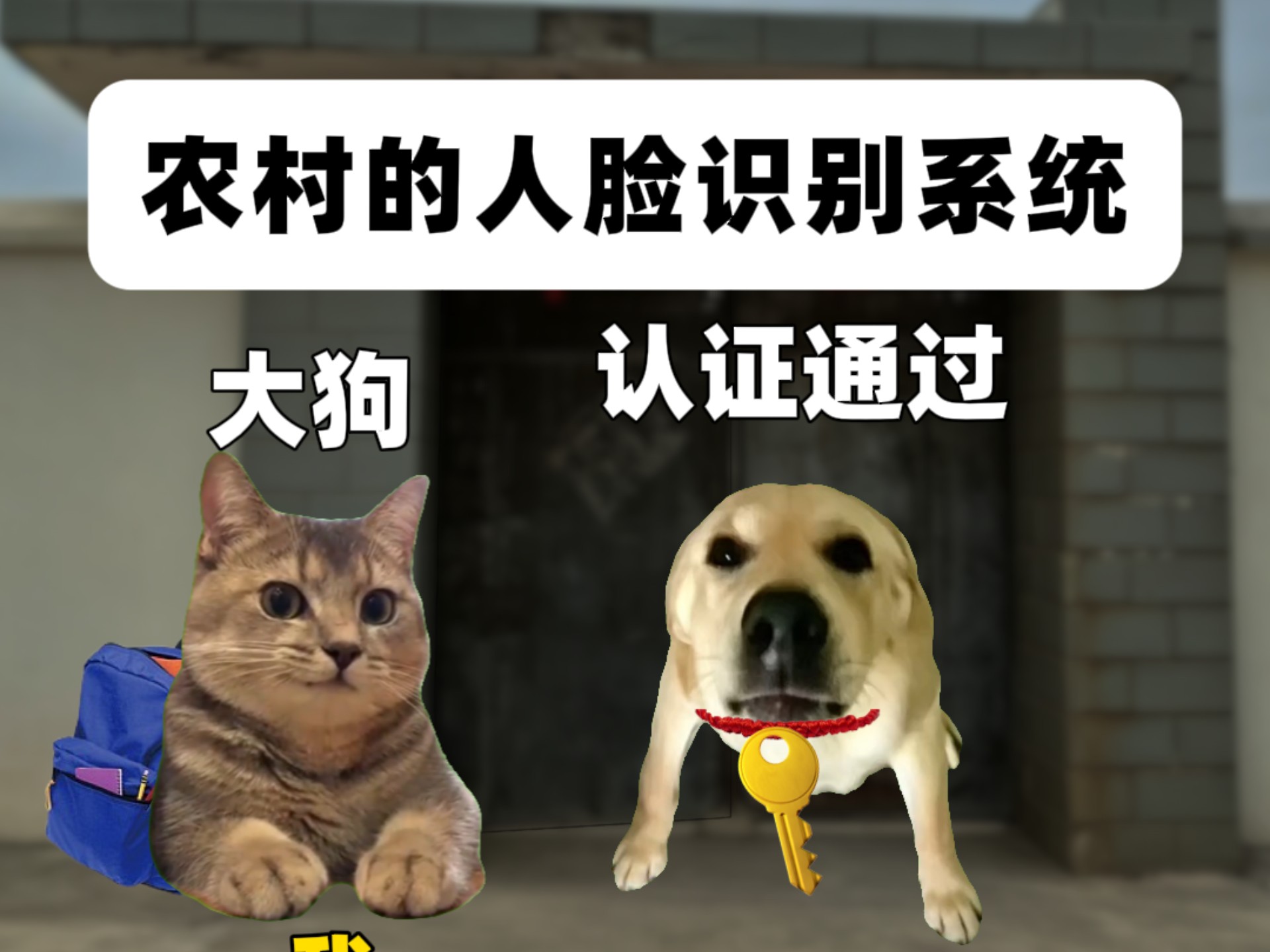 农村最早的人脸识别系统