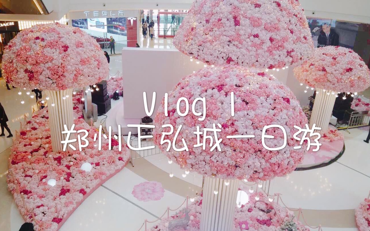 Vlog 1 郑州正弘城一日游哔哩哔哩bilibili