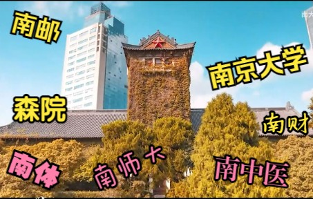 【南京ⷩ똦 Ⴗ混剪】天下文枢Ⅲⷤ𛙦ž—大学城公办本科院校混剪 南大ⷥ—邮ⷥ—师大ⷥ—体ⷥ—京中医药ⷥ—京森林警察学院哔哩哔哩bilibili