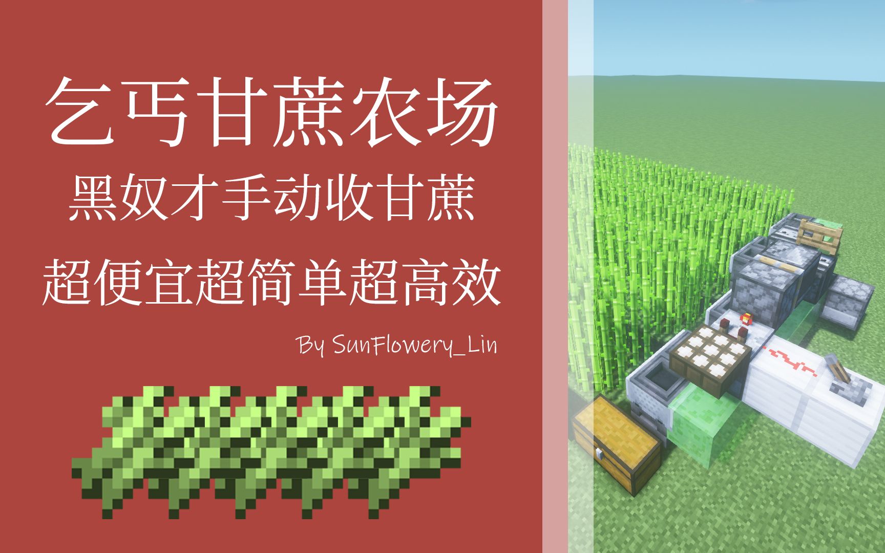 乞丐甘蔗农场