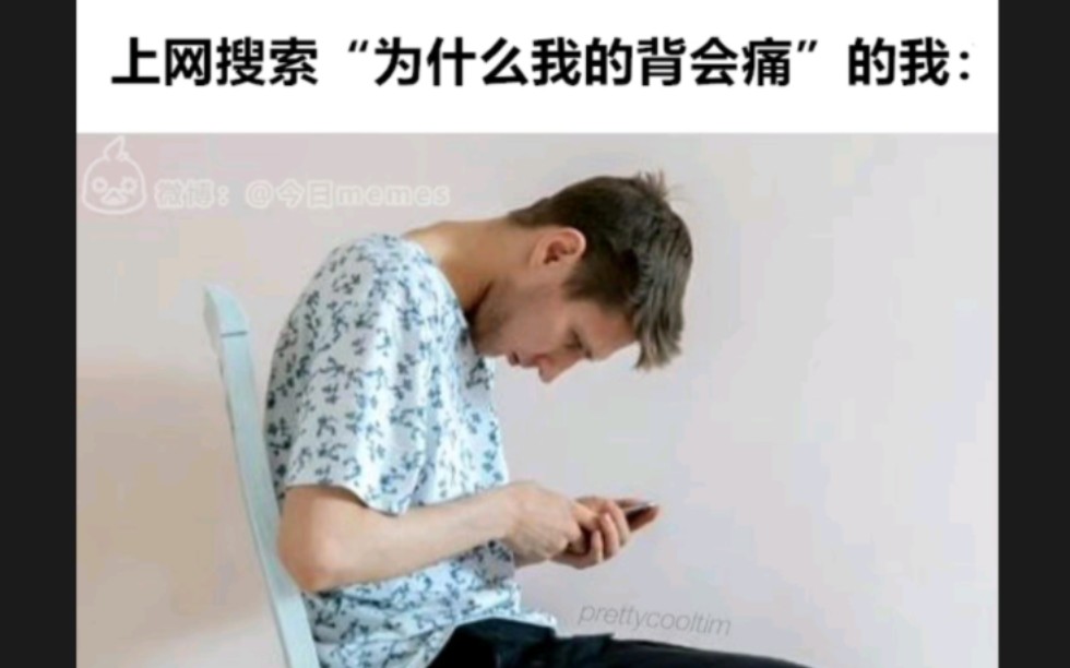 上网搜索“为什么我的背会痛”的我:哔哩哔哩bilibili