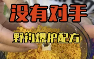 Download Video: 野钓爆护饵料搭配！专攻大鲤鱼，兼顾鲫草鳊鱼