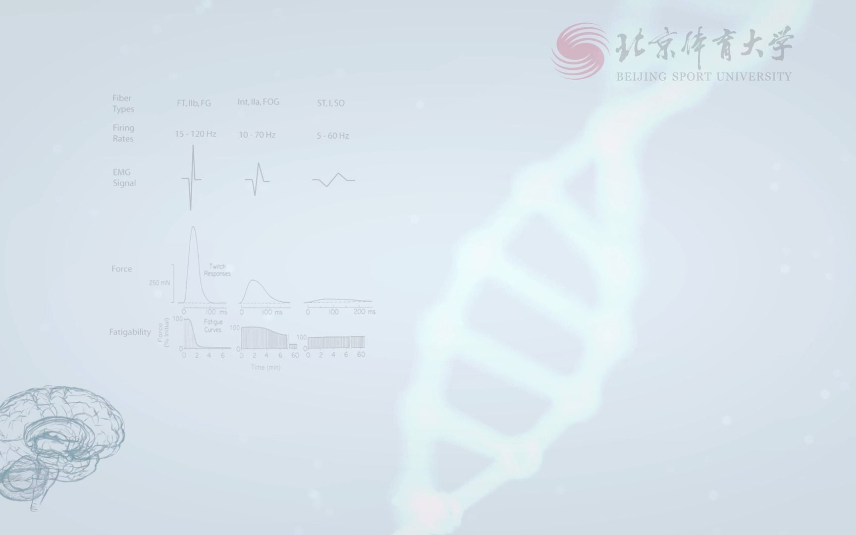 北京体育大学汪军2最大摄氧量测试方法哔哩哔哩bilibili