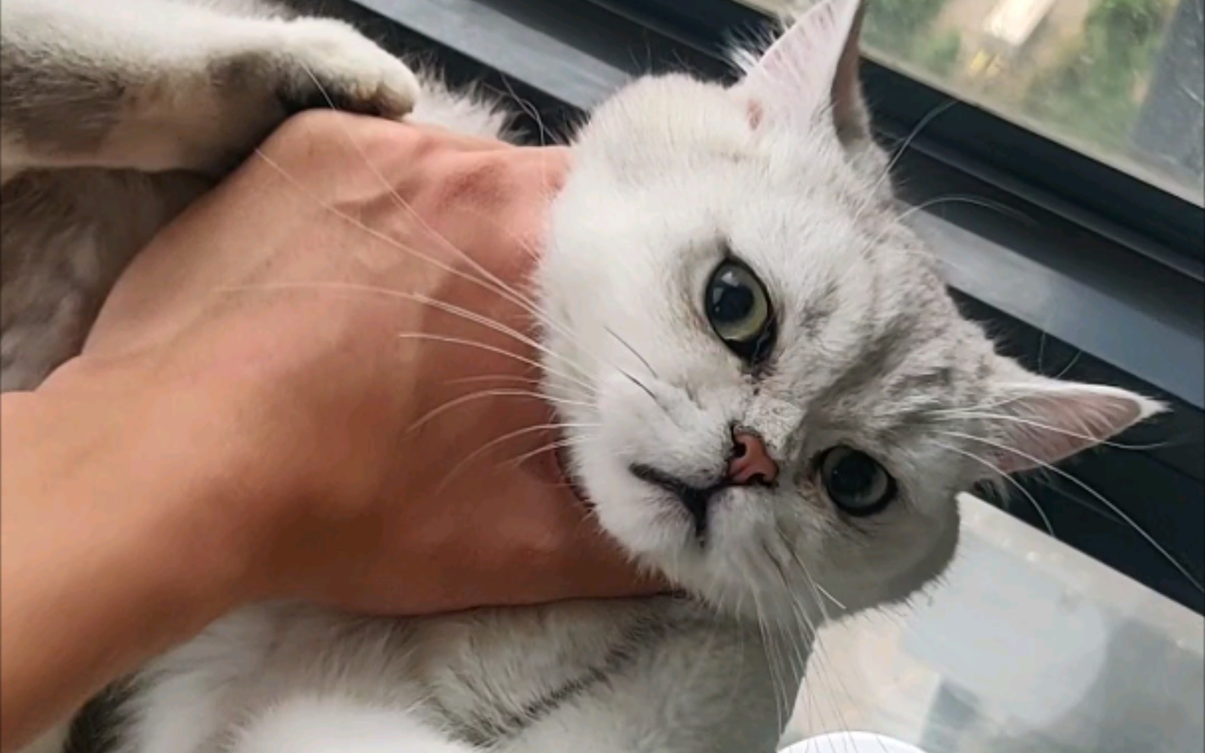 扼住命运的咽喉