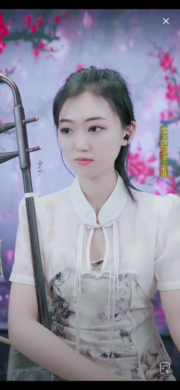 二胡甄儿91