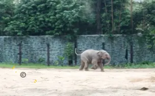 Скачать видео: 吹啊吹啊我的小风