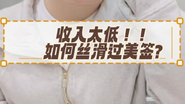 收入太低,如何丝滑过美签?哔哩哔哩bilibili