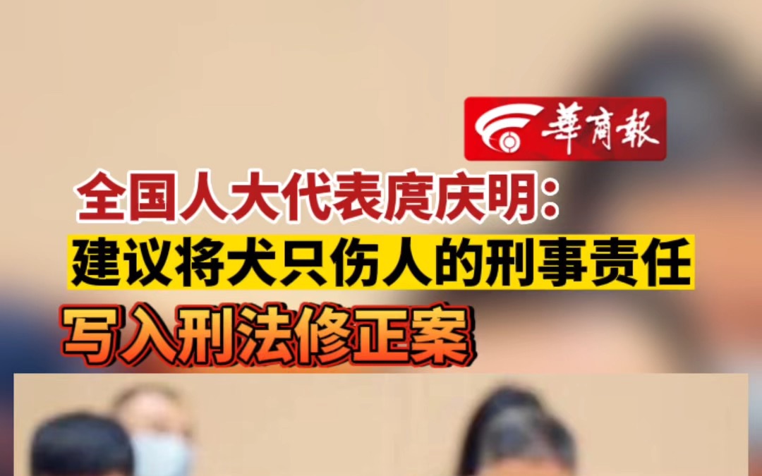 全国人大代表庹庆明:建议将犬只伤人的刑事责任写入刑法修正案哔哩哔哩bilibili