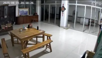 养狗人真的不能看监控，一整个大破防