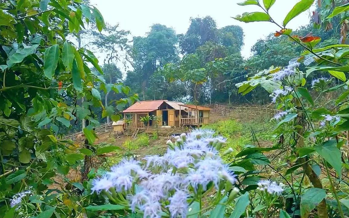 [图]热带雨林生存-荒野求生，第217集-完成新住宅谷仓的建设， 荒野求生，野外生存