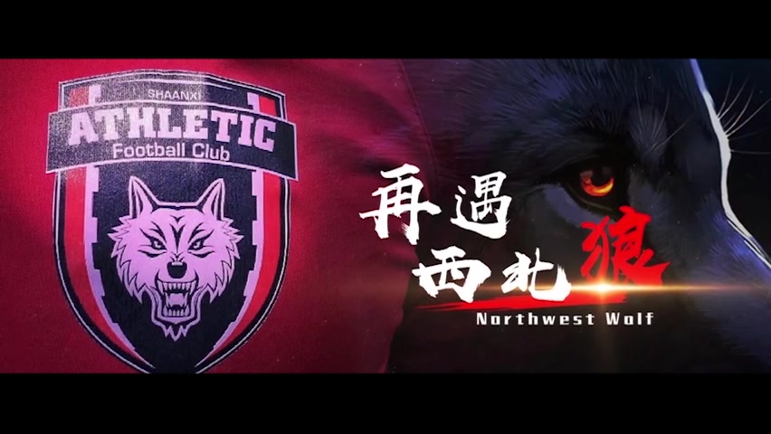 陕西长安竞技再遇西北狼