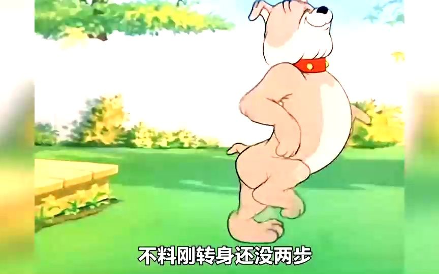 汤姆没眼力见,大狗斯派克刚给儿子洗干净,就被它撞到了泥坑