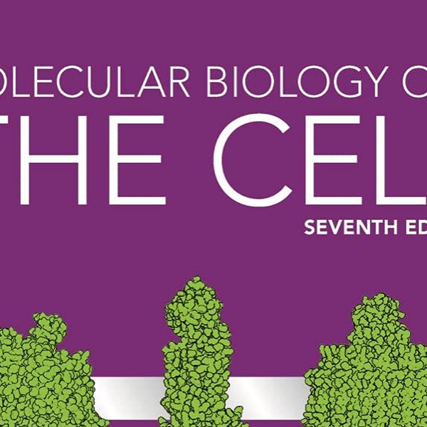 通販できます THE CELL 7th 細胞の分子生物学 - 本