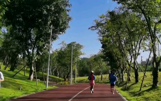 成都天府绿道,风景最好的一段就是天鹅湖吧哔哩哔哩bilibili