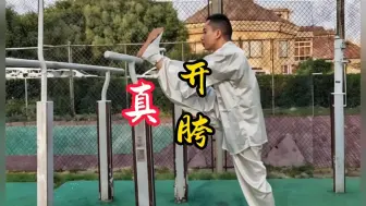 Download Video: “开胯”不是压腿，也不是大珠子转圈圈，什么是内家拳形意拳真正的“开胯呢？”