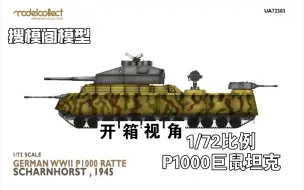 Download Video: 【搜模阁】P1000“陆地巡洋舰”巨鼠坦克1/72模型-开箱测评