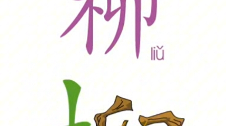 幼儿识字《柳》30秒学会一个字象形认字|学得快|记得牢哔哩哔哩bilibili