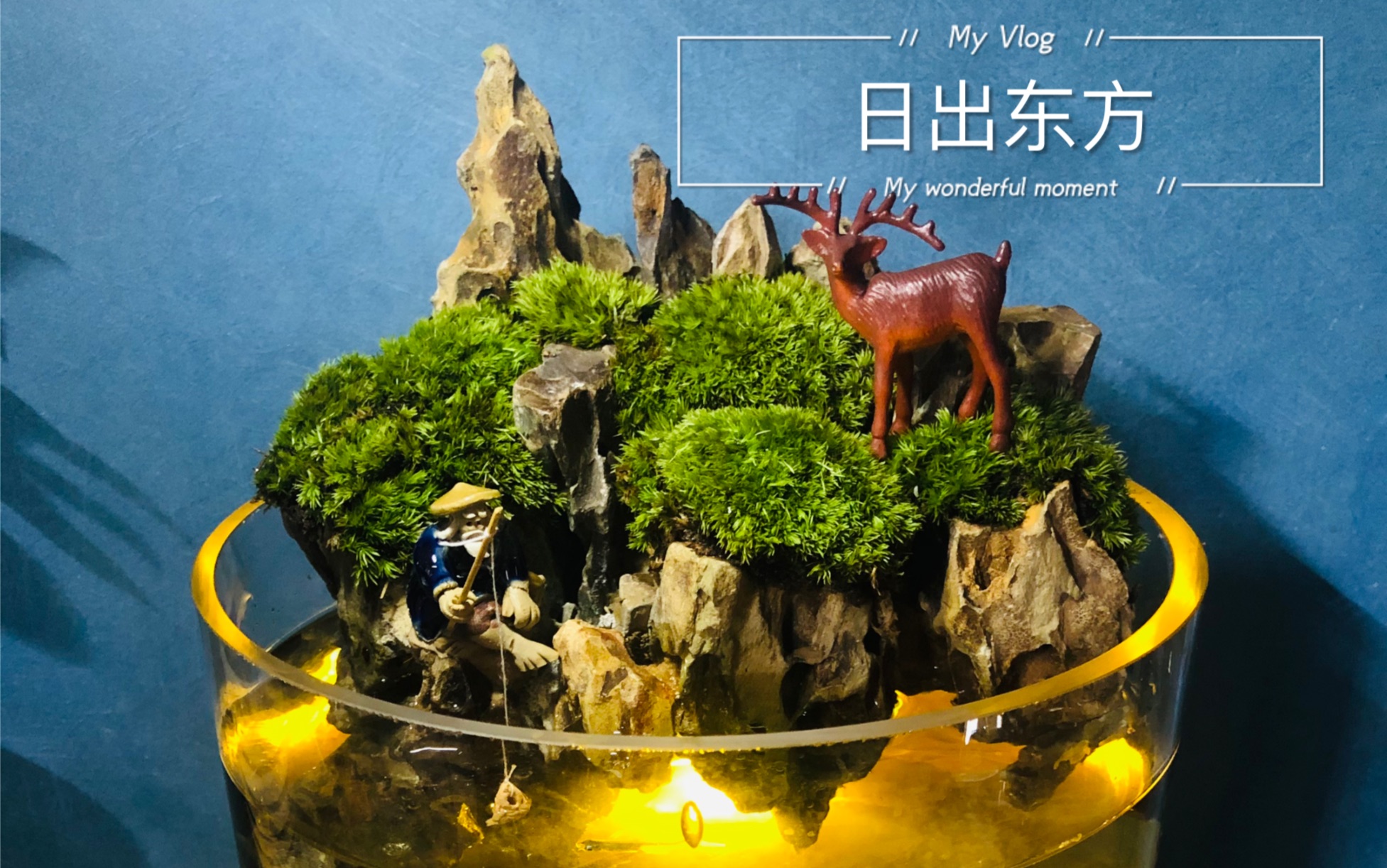 圆柱型水陆缸造景悬浮鱼缸,苔藓微景观
