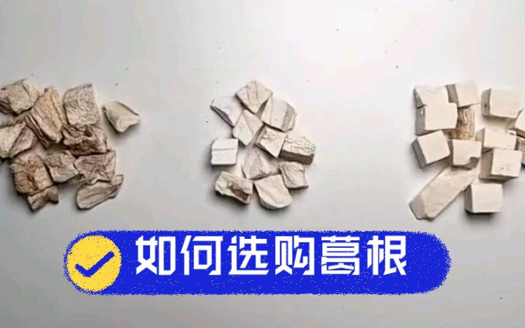 中草药质量辨别之葛根哔哩哔哩bilibili