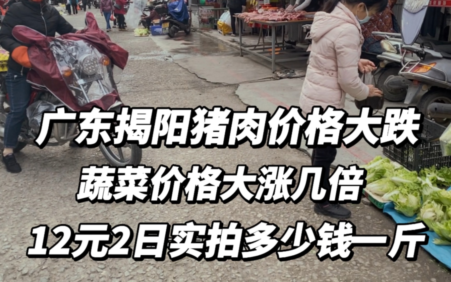 广东揭阳猪肉价格大跌,蔬菜价格大涨,12月2日实拍多少钱一斤哔哩哔哩bilibili